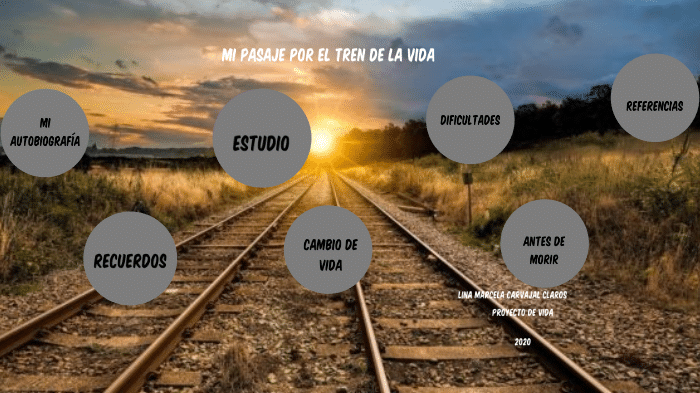 Cómo realizar un proyecto personal sobre la vida en tren