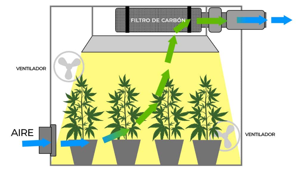 Cuál es el papel del aire fresco durante el trayecto