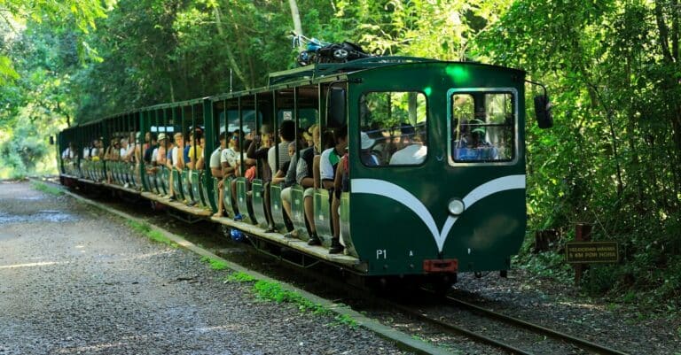 Disfruta tu viaje en tren sin dejar huella ecológica