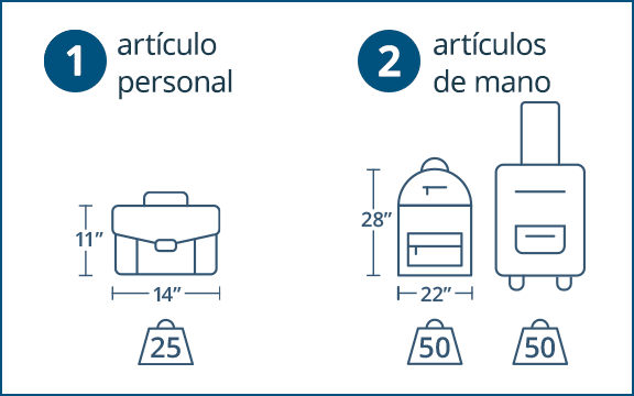 Equipaje permitido en trenes internacionales: guía completa